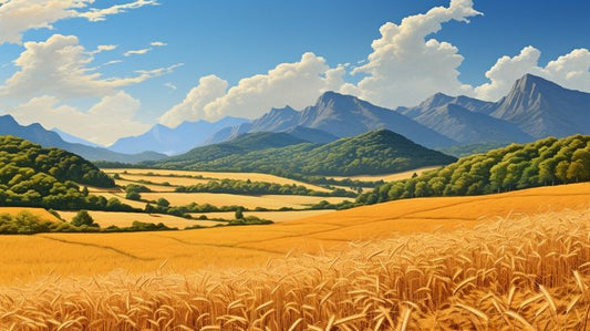 Harvest Fields and Mountain Vistas - Virtual Background Image for Zoom and Teams Meetings